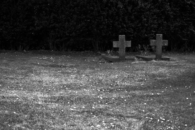 Zdjęcie krzyże na nagrobkach na cmentarzu