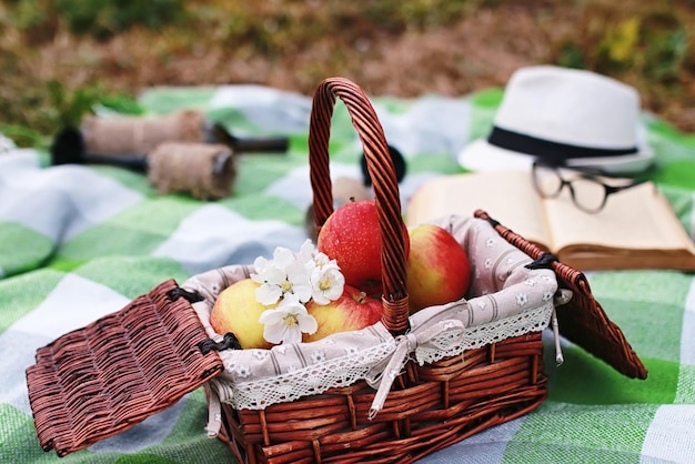 Zdjęcie książka i kosz z jedzeniem na pikniku w kratę w wiosennym parku