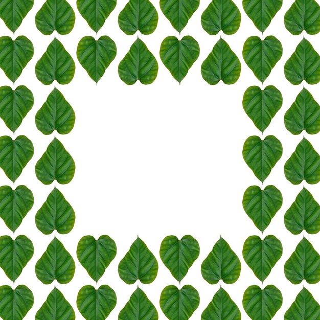 Zdjęcie kształt serca zielonych liści z miejscem na kopię.