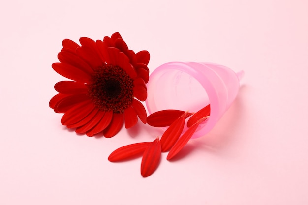 Kubek Menstruacyjny I Gerbera Na Różowej Powierzchni, Z Bliska