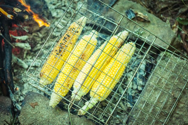 Kukurydza Gotowana W Naturze Na Grillu