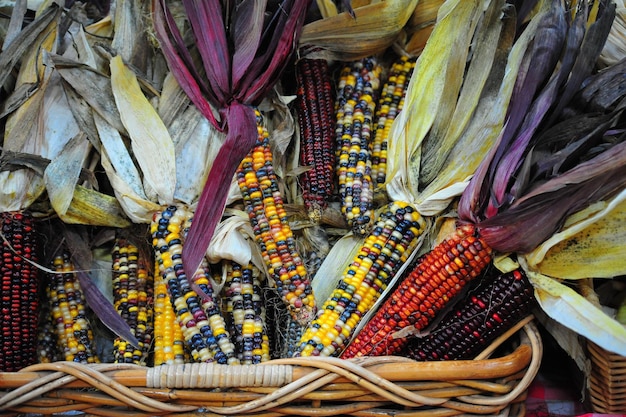 Zdjęcie kukurydza w koszu do sprzedaży na targu
