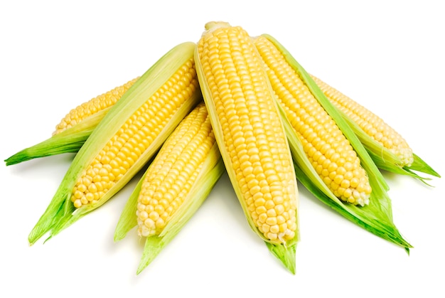 kukurydziany zbliżenie na bielu