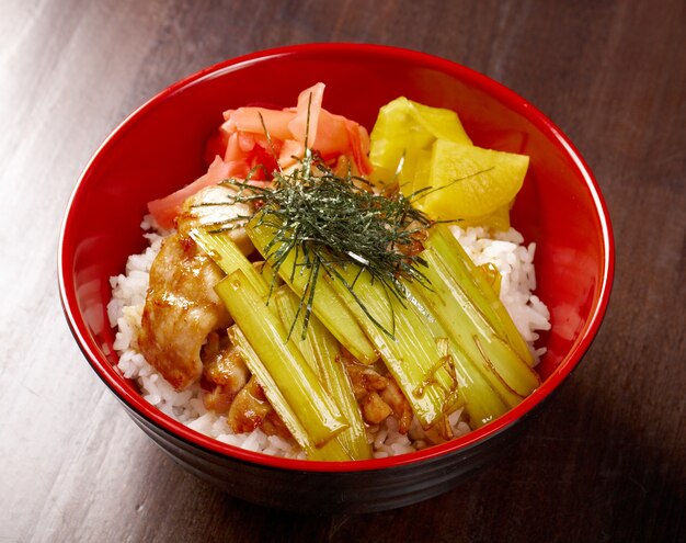 Kurczak z ryżem i bambusem. Japońskie jedzenie