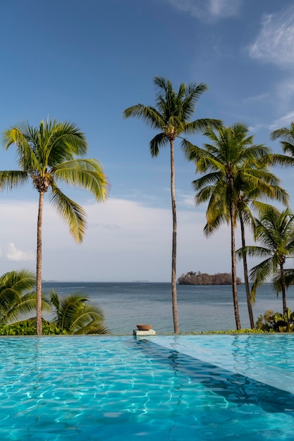 Kurort na plaży z basenem z palmami i błękitnym niebem Archipelag Las Perlas Panama