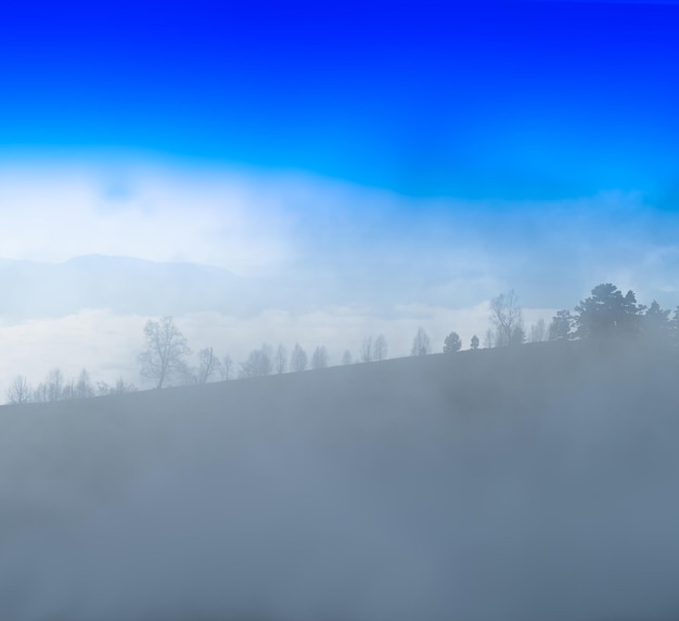 Kwadratowa sylwetka lasu w tle krajobrazu mgły