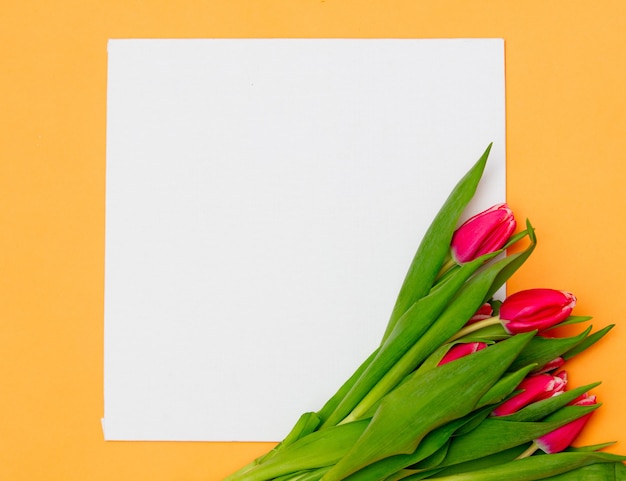 Kwadratowy karton i tulipany na żółto