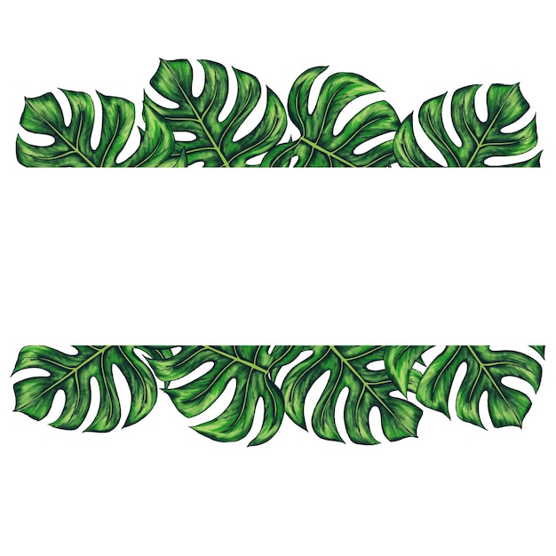 Zdjęcie kwadratowy szablon tekstu z tropikalnymi liśćmi palmy monstera ramka lub granica z dżunglowym lasem deszczowym