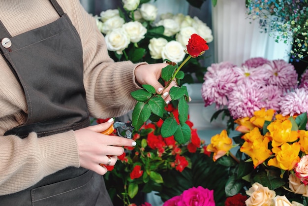 Zdjęcie kwiaciarnia w pracy z bliska ogrodniczka incognito za pomocą małych sekatorów do cięcia czerwonego kwiatu róży