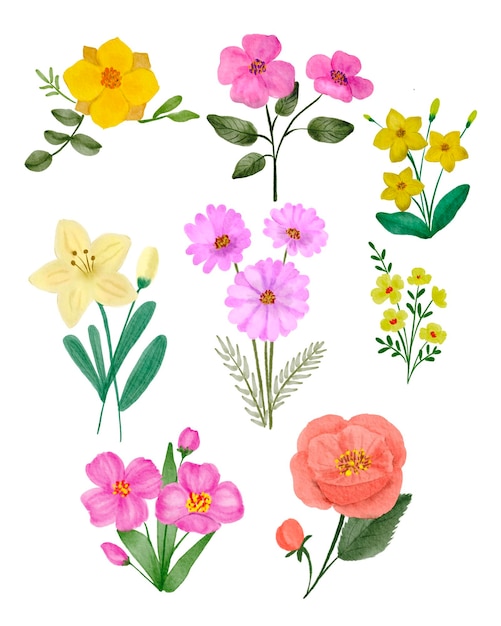 Kwiat Akwarela Rysunek W Romantycznym Stylu Ilustracja Sztuka Flora Róża Lilia Dalia Tulipan Hibiskus