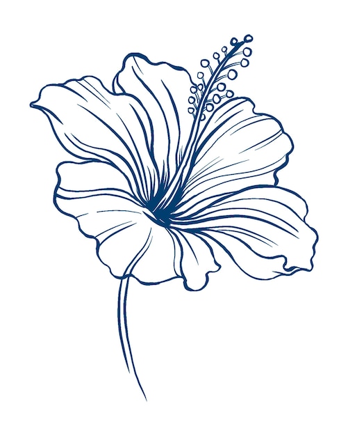 Kwiat hibiskusa png sztuka tatuażu niebieski vintage botaniczny wycinek