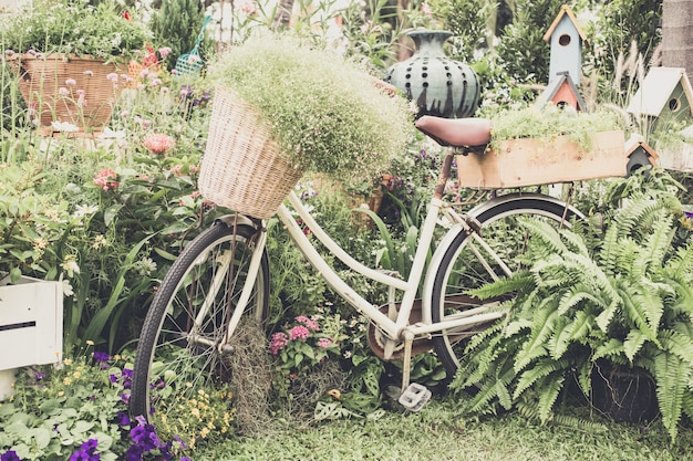 Kwiat na rowerze