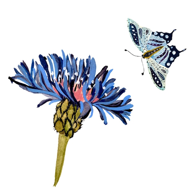 Kwiat niebieski motyl teksturowanej szkicu. Ilustracja akwarela. Ręcznie rysowane tekstury i na białym tle.