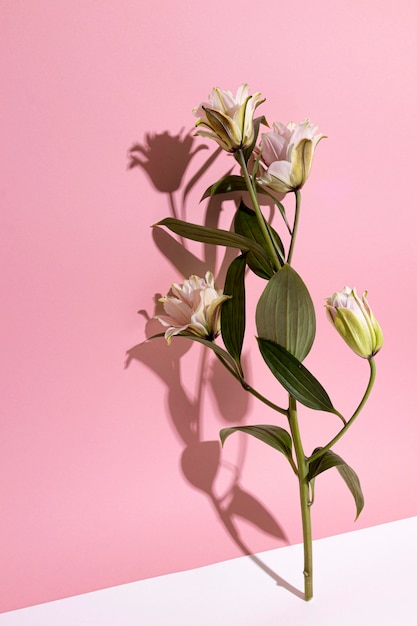 Zdjęcie kwiat w wazonie na stole