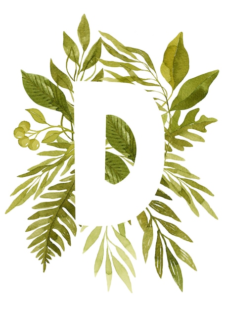 Kwiatowa litera D monogram zielony akwarela pozostawia paprocie eukaliptusa i jagody kwiatowy napis