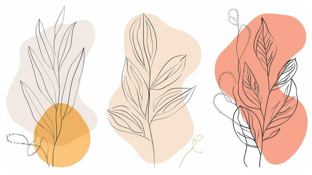 Zdjęcie kwiatowa sztuka ścienna nowoczesny zestaw foliage line art rysunek z abstrakcyjnym kształtem abstrakcyjny projekt sztuki roślinnej do drukowania okładki tapety mini i naturalnej sztuki ściennej nowoczesna ilustracja