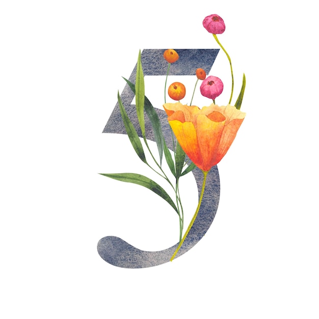 Zdjęcie kwiatowy numer 5 pięć element akwarelowy z bukietem dzikich kwiatów botanicznych zaproszenia ślubne kartka życzenia logo urodzin plakat inne pomysły element litery do projektu pocztówki