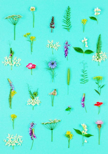 Kwiatowy Wzór Wykonany Z Dzikich Leczniczych Kwiatów I Ziół Na Mięcie