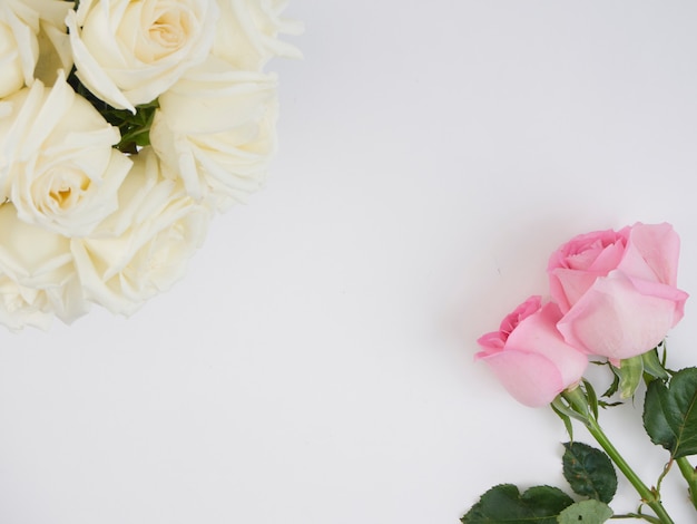 Zdjęcie kwiaty białych róż i dwa różowe kwiaty róży