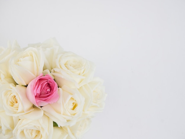 Kwiaty białych róż i jeden różowy kwiat róży