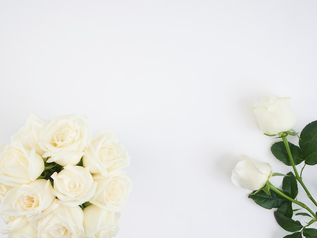 Kwiaty białych róż