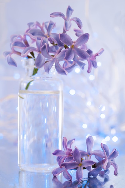 Kwiaty fioletowego bzu w małej butelce