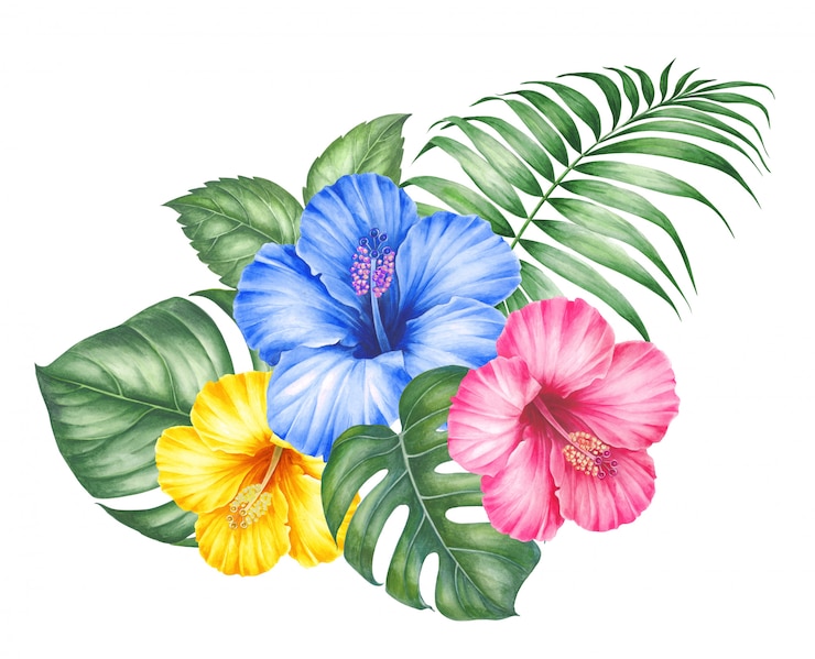 Zdjęcie kwiaty hibiskusa i liście palmy.