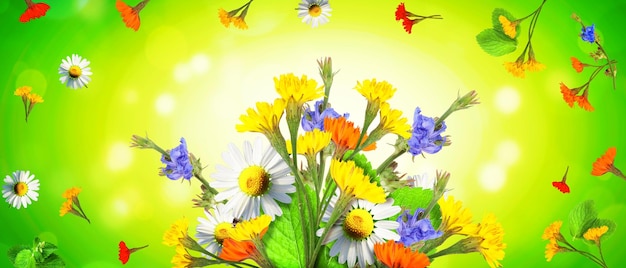 Zdjęcie kwiaty i zioła wiosenna kreatywna kompozycja kwiatowa