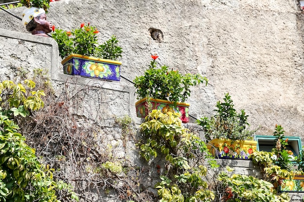 Kwiaty na ulicach Positano Neapol Włochy