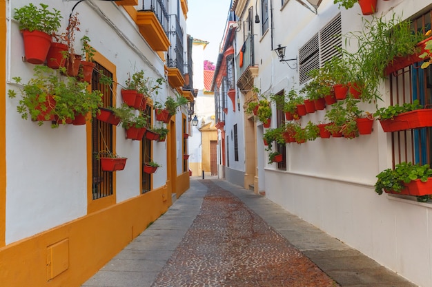 Kwiaty na ulicy Cordoba, Andaluzja, Hiszpania