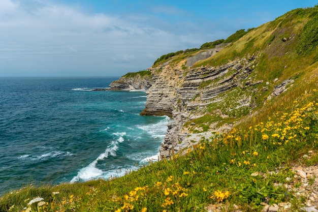 Kwiaty na wybrzeżu i morzu z parku przyrodniczego Saint Jean de Luz zwanego Parc de Sainte Barbe, Col de la Grun we francuskim Kraju Basków