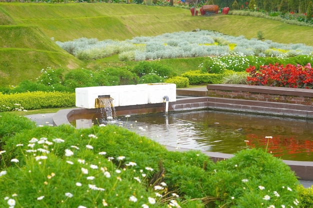 kwiaty ogród park natura tło zdjęcie premium