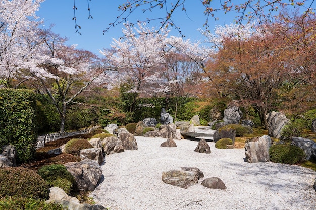 Kwiaty wiśni w japońskim ogrodzie zen Shogunzuka Mound i Seiryuden Shorenin Temple Kyoto Japonia