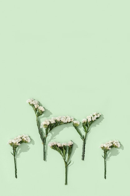 Kwiecista, dekoracyjna ramka z suszonego kwiatu Limonium, liści i drobnych kwiatów na delikatnej zieleni. Naturalne kwieciste tło, koncepcja przyrody lub środowiska. Widok z góry, płaski układ.