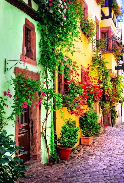 Kwieciste tradycyjne miasto Colmar z uroczymi starymi uliczkami