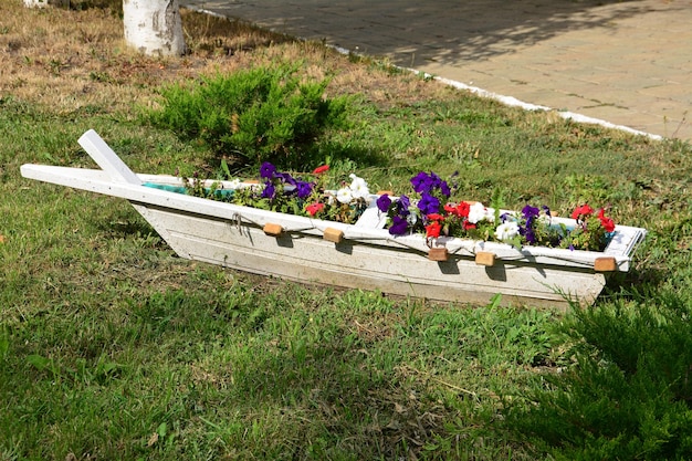 kwietnik z petuniami w kształcie łodzi na zielonej trawie z bliska