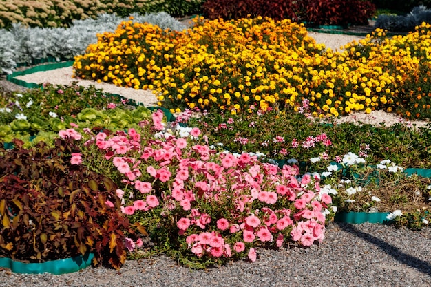 Kwietnik z różowymi petuniami i żółtymi kwiatami nagietka w parku