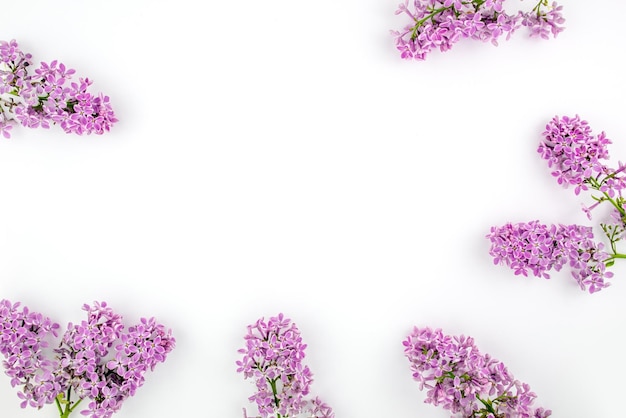 Kwitną gałązki bzu Liliowo fioletowe kwiaty na białym tle Delikatna ramka z Prowansji