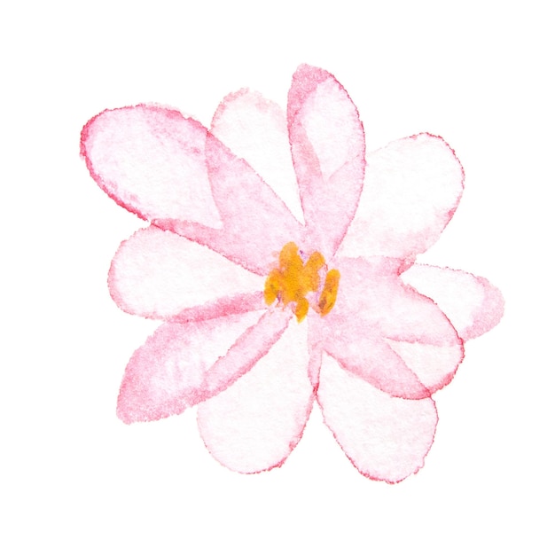 Kwitnąca akwarela różowe drzewo Wiosenny kwiat w rozkwicie Piękne lato