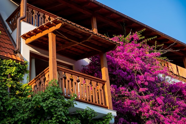 Kwitnąca bugenwilla przy ogrodzeniu balkonu drewniany balkon z różowymi kwiatami bugenwilli