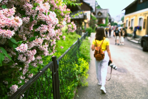 Kwitnące kwiaty krzewów w mieście hallstatt w austrii