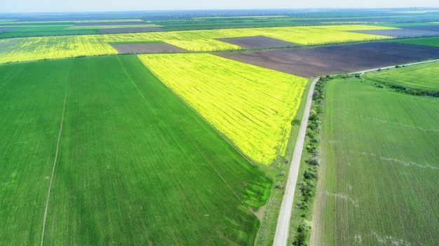 Kwitnące Lato Pole Z Rzepaku I Trawy. Widok Z Lotu Ptaka