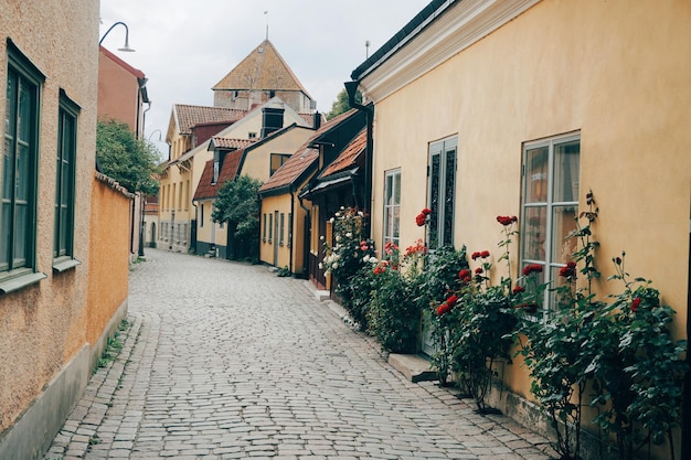 Kwitnące rośliny w alejce pośród domów