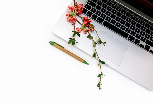 Kwitnącego notatnika laptopu biurowa wiosna kwitnie jabłko gałąź menchii bielu kopii przestrzeń