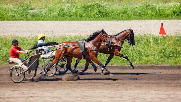 Zdjęcie kyiv ukraina 6 sierpnia 2023 hippodrome wyścigowe trotters