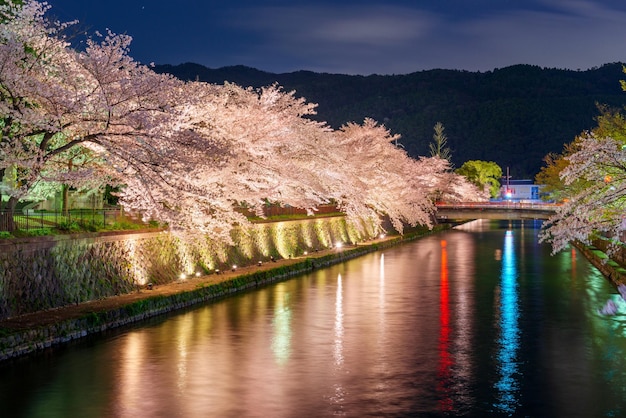 Kyoto w Japonii na kanale Okazaki wiosną