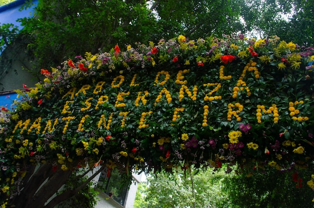 la casa azul znajduje się w Coyoacn wewnątrz i na zewnątrz, gdzie mieszka Frida