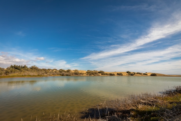 La Charca, Miejsce Obserwacji Ptaków I Rezerwat Przyrody W Maspalomas Na Gran Canarii, Hiszpania