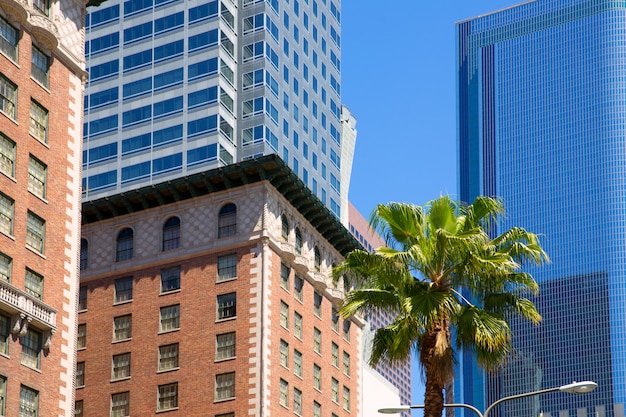 La Downtown Los Angeles Pershing Square Palm Warkocz