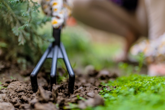 Zdjęcie la mano de una mujer excava el suelo y la tierra. primer plano, concepto de jardinería, jardinería. vista a nivel del suelo de la mujer que planta las flores en luz del sol. herramientas de jardinería en el jardín. floreria de mujer trabajando en su invernadero. trabajando en el jardín. guantes de trabajo, herramienta de jardín